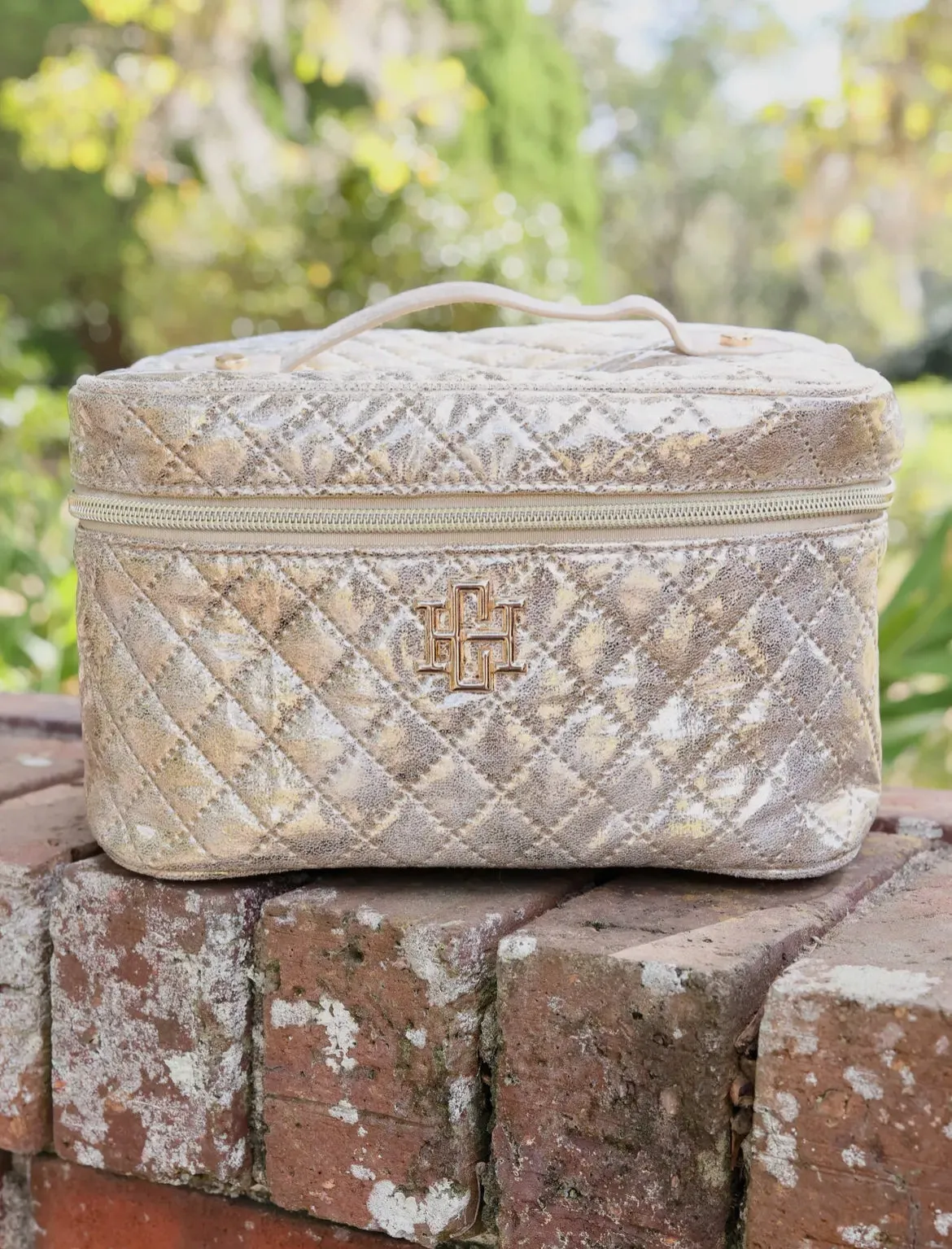 Hampton train case champagne pop