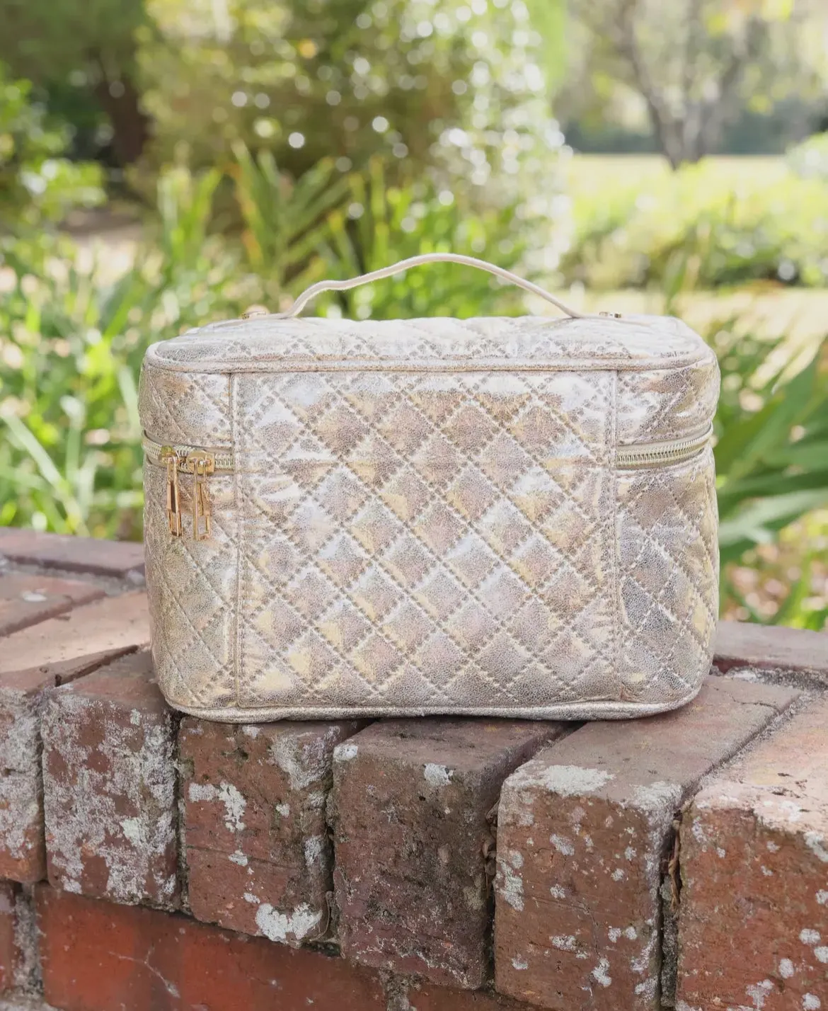 Hampton train case champagne pop